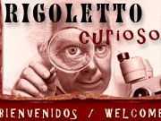 Rigoletto Curioso
