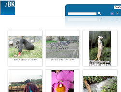 Banco Imagenes